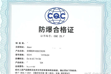 辦理本安防爆認(rèn)證有哪些具體的要求？